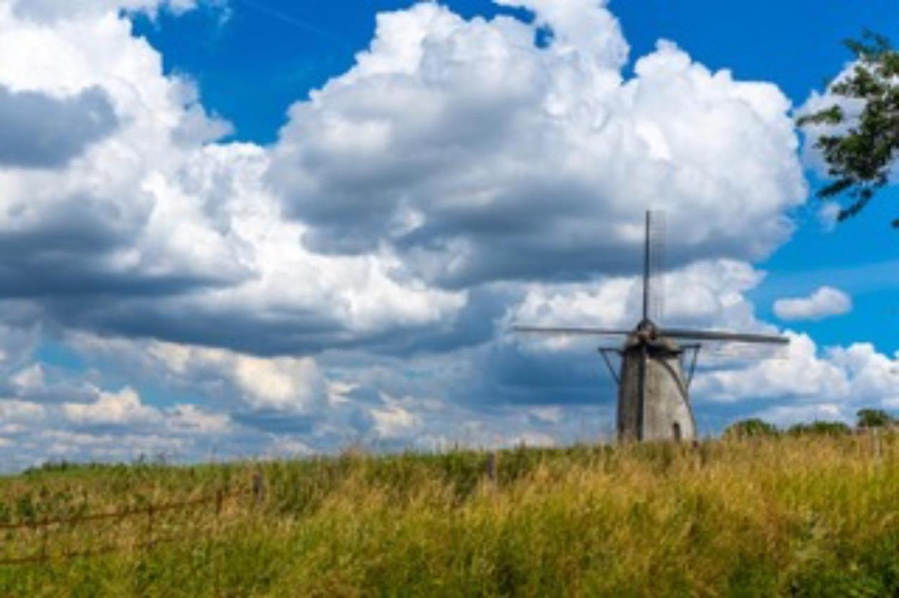Vlaamse Ardennen Vakantiehuis Casa Caliente Met Wellness Avelgem Eksteriør bilde