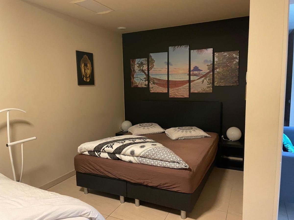 Vlaamse Ardennen Vakantiehuis Casa Caliente Met Wellness Avelgem Eksteriør bilde